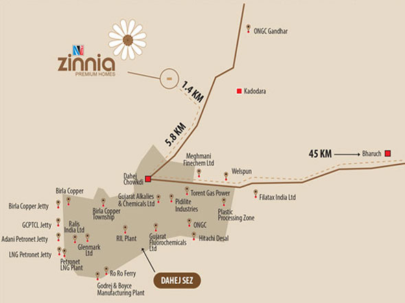 Zinnia