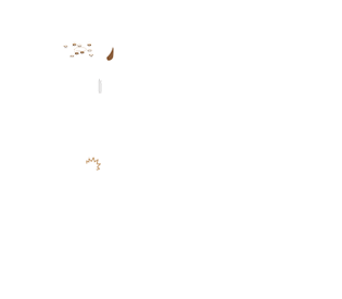 Amenities at NJ Zinnia2